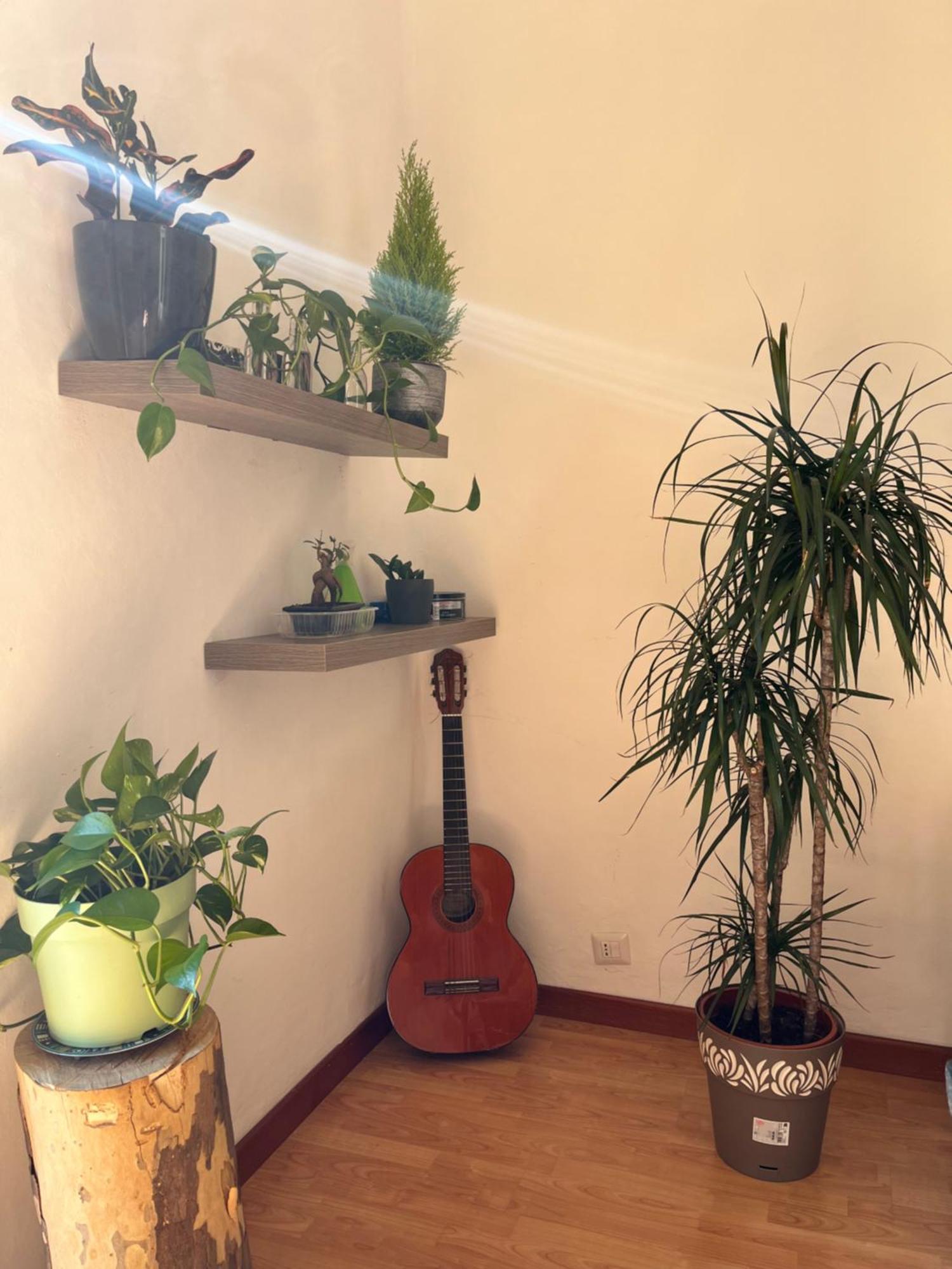 Molis'S House 호텔 밀라노 외부 사진
